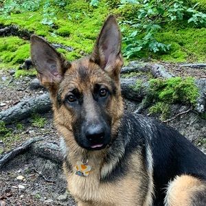 Meet your Posher, Monica